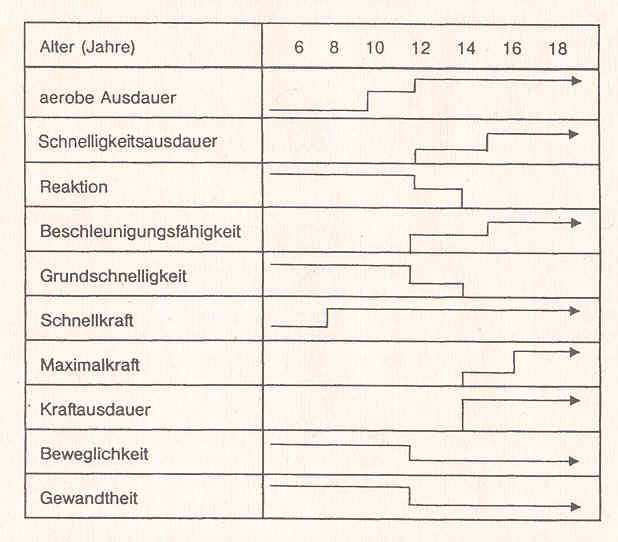 Die Goldenen Lernphasen